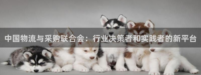 28圈h5链接