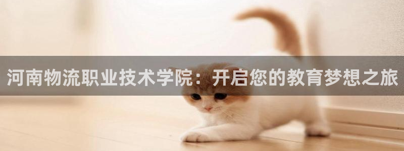 自行车28圈是什么意思