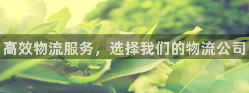 28圈注册网站多少钱：高效物流服务，