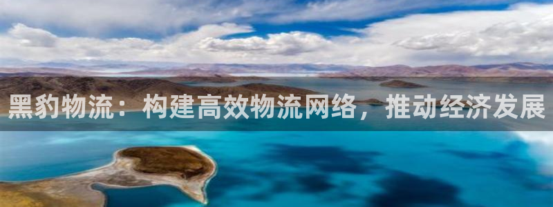 28圈注册平台：黑豹物流：构建高效物
