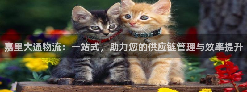 28圈官网版所有版本