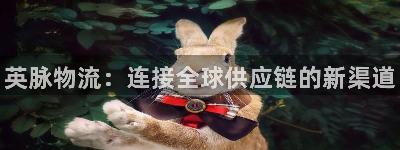 28圈app官网少林足球：英脉物流：