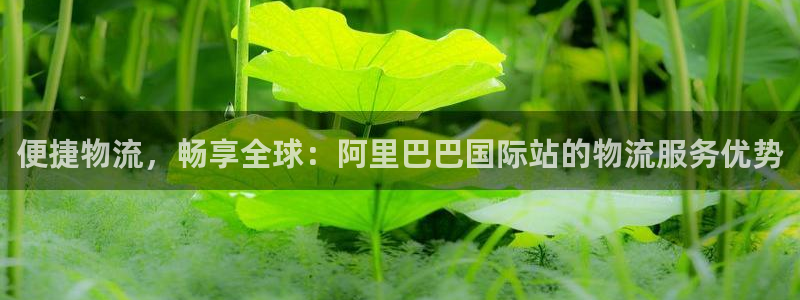 28圈app官网少林足球：便捷物流，畅享全球：阿里巴巴国际站