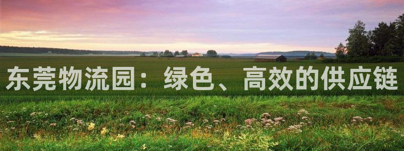28圈p扣款什么意思：东莞物流园：绿