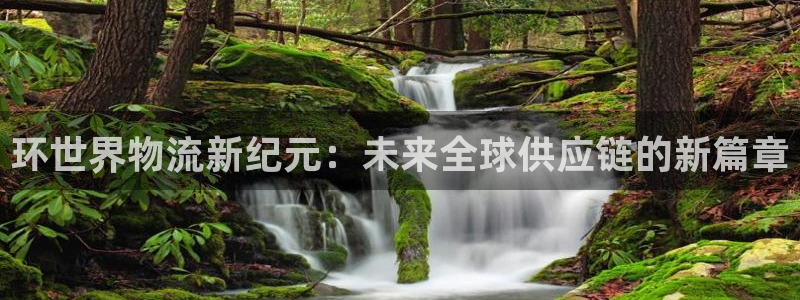 28圈注册步骤：环世界物流新纪元：未