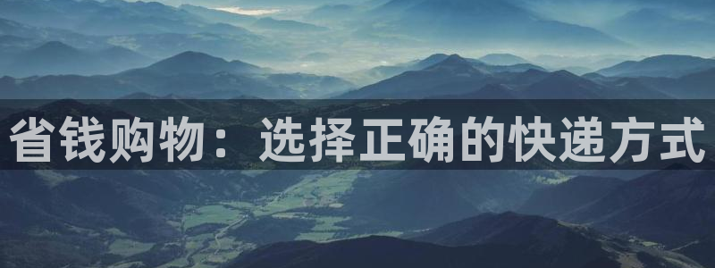 28圈赌博软件正规吗：省钱购物：选择