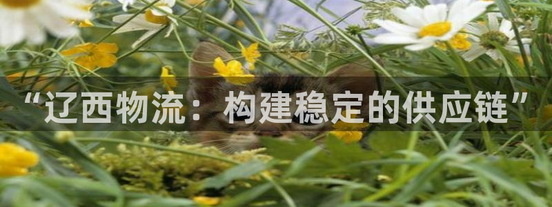 28圈加拿大：“辽西物流：构建稳定的