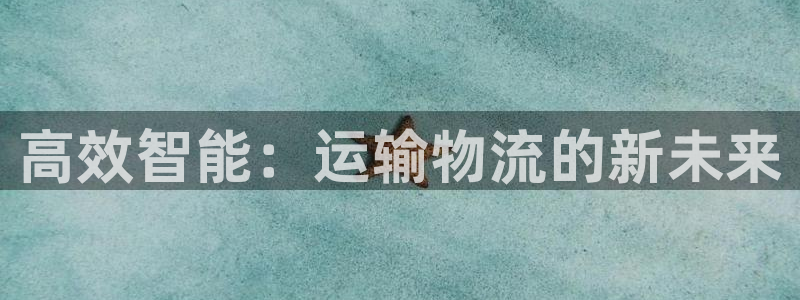 28圈娱乐官网网页：高效智能：运输物