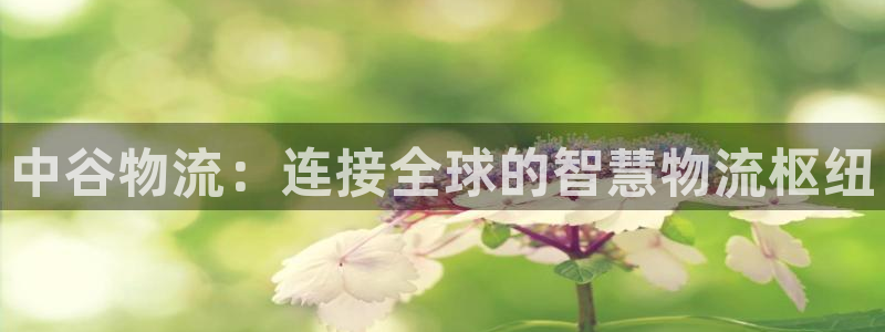 28圈麻将