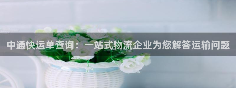 28圈分分28预测