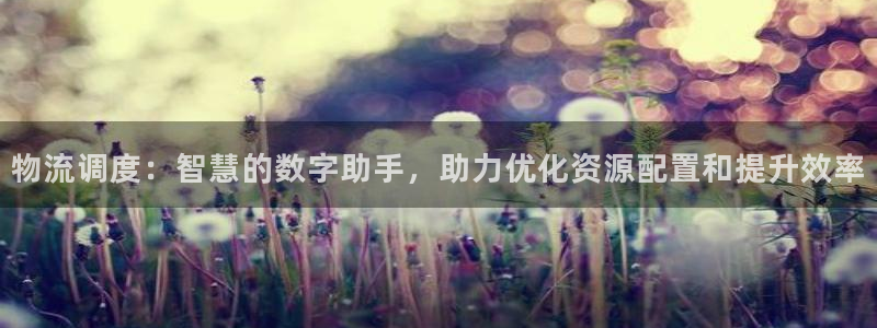 28圈网赌案件：物流调度：智慧的数字