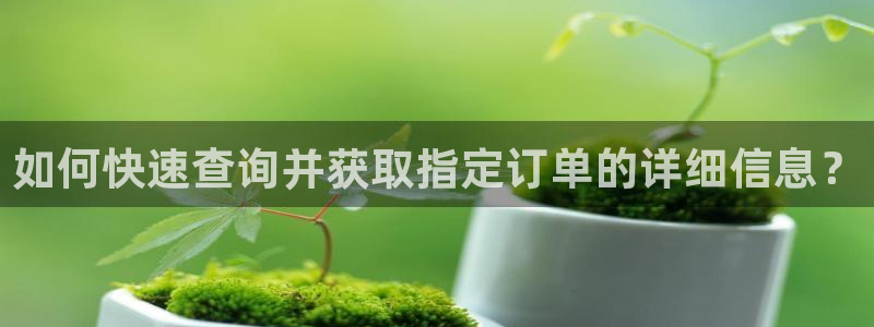 28圈预测加拿大师准：如何快速查询并
