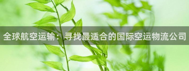 28圈.ccm官网：全球航空运输：寻