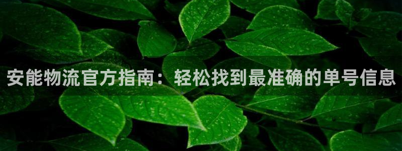 28圈口戒指是多大：安能物流官方指南