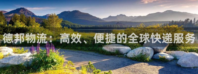 28圈麻将胡了在线试玩：德邦物流：高