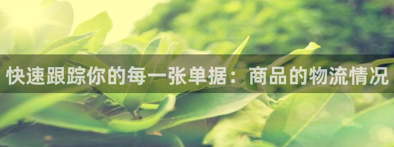 28圈合法吗：快速跟踪你的每一张单据：商品的物流情况
