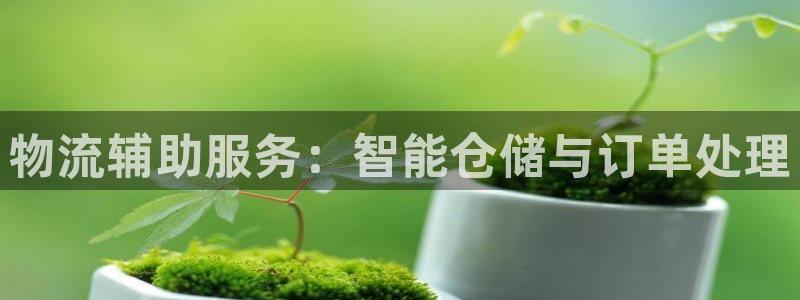 28圈怎么申请代理