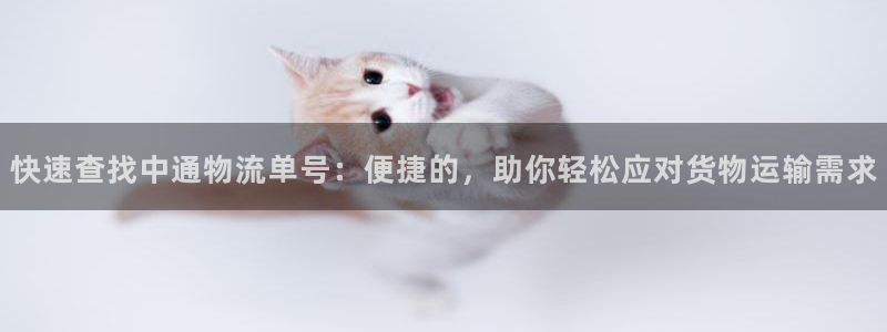 28圈软件有什么用：快速查找中通物流