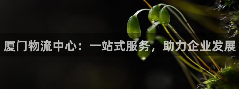 28圈充值：厦门物流中心：一站式服务
