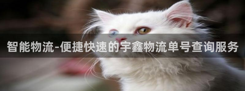 28圈犯法吗：智能物流-便捷快速的宇