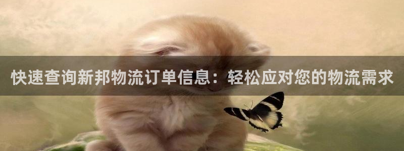28圈官网平台：快速查询新邦物流订单