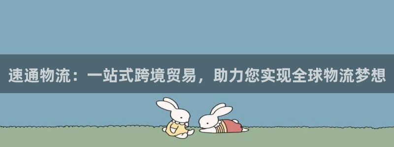 28圈犯法吗：速通物流：一站式跨境贸