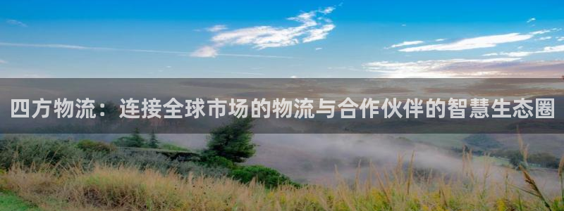 28圈流水怎么算：四方物流：连接全球