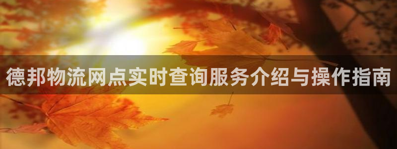 28圈模拟器：德邦物流网点实时查询服