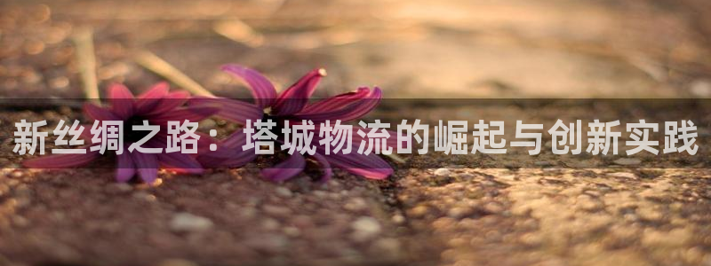 28圈登录流程：新丝绸之路：塔城物流