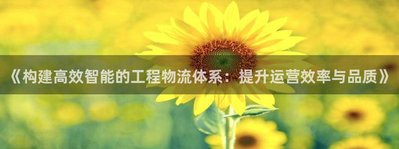 28圈口
