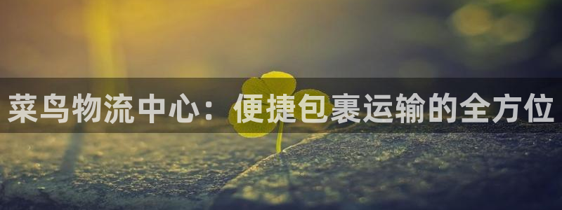 28圈加拿大：菜鸟物流中心：便捷包裹