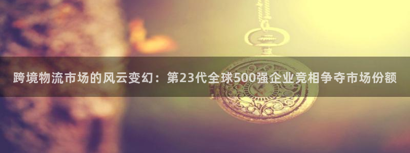28圈p图上分下款通道：跨境物流市场的风云变幻：第23代全球