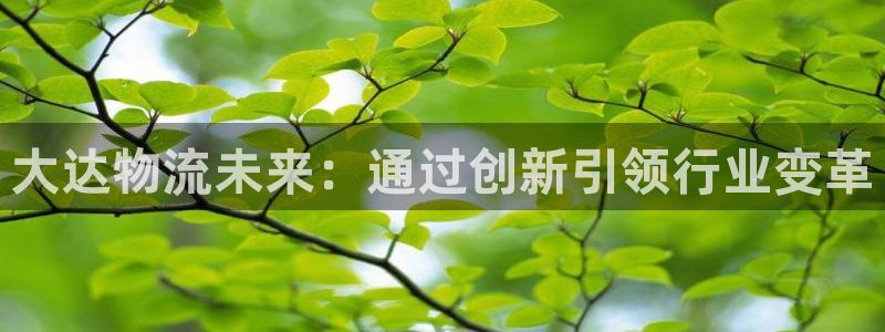 28圈注册平台:大达物流未来:通过创