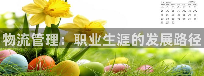 28圈注册流程：物流管理：职业生涯的发展路径