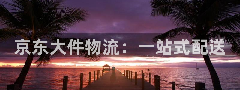 28圈防失联网址：京东大件物流：一站式配送