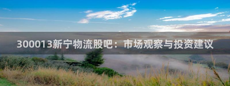 28圈软件堵什么反什么：300013新宁物流股吧：市场观察与