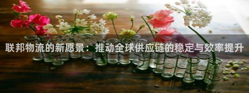 28圈正规吗?：联邦物流的新愿景：推动全球供应链的稳定与效率