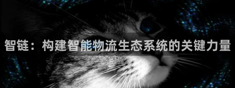 28圈正规吗?：智链：构建智能物流生