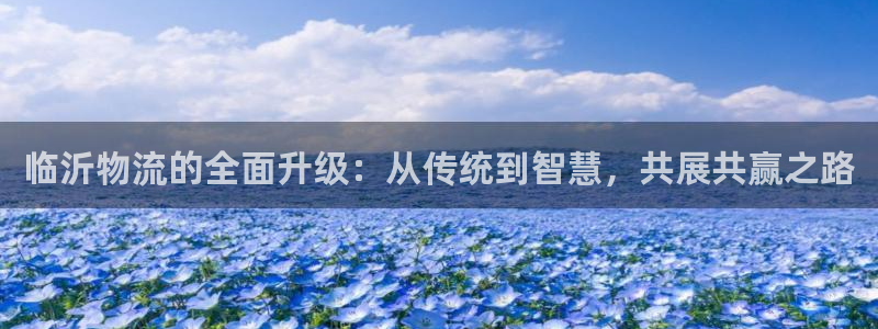 南宫28圈官网版：临沂物流的全面升级