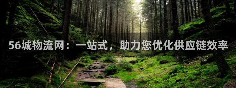 28圈相信品牌的力量：56城物流网：