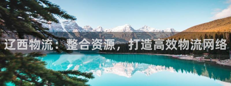 28圈注册步骤：辽西物流：整合资源，