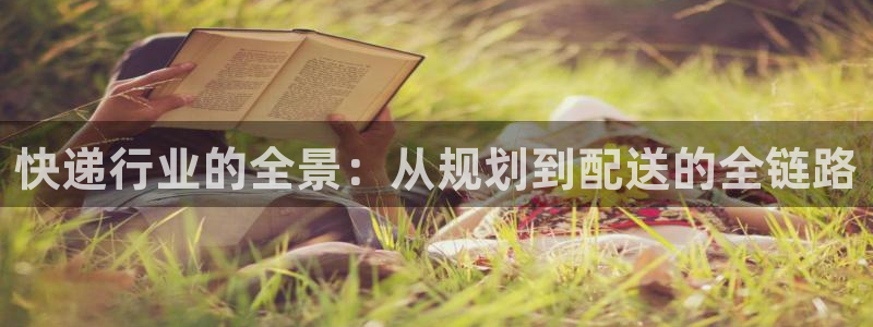 28圈圈：快递行业的全景：从规划到配