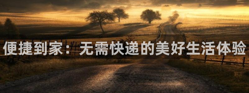 28圈的自行车：便捷到家：无需快递的