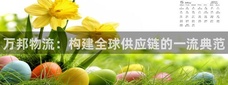 28圈相信品牌的力量：万邦物流：构建