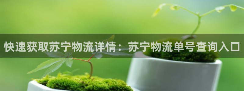 28圈注册问一问：快速获取苏宁物流详