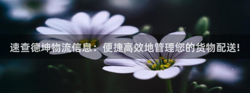 加拿大28圈数字规则