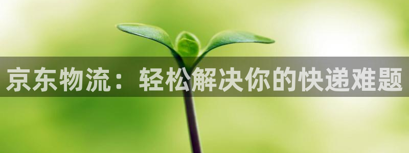 28圈入口问一问：京东物流：轻松解决