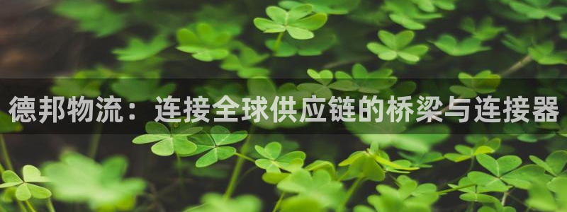 28圈登录网:德邦物流:连接全球供应