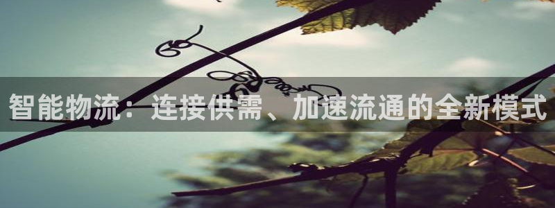 南宫28圈官网：智能物流：连接供需、加速流通的全新模式