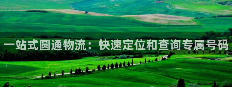 28圈最稳打法：一站式圆通物流：快速